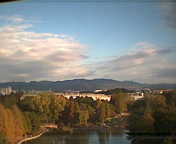 The view from my hotel