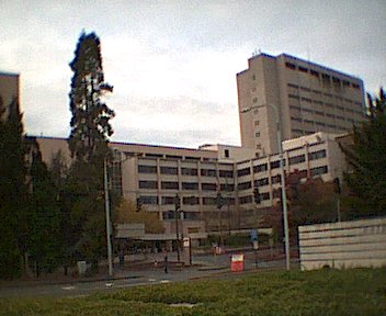 The University Medical College